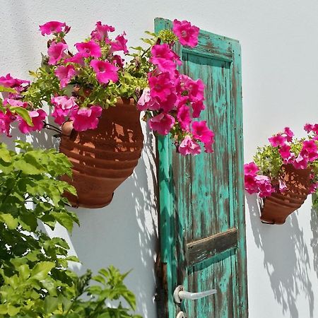 Villa Anna Maria Alikí エクステリア 写真