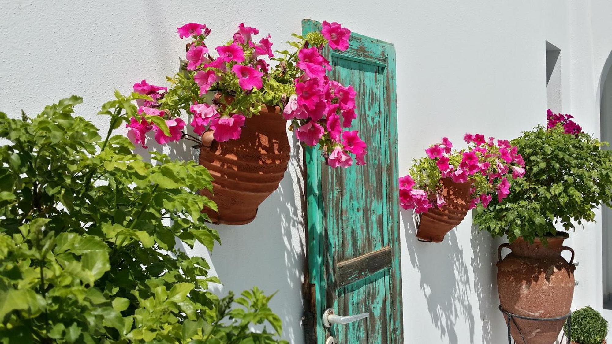 Villa Anna Maria Alikí エクステリア 写真